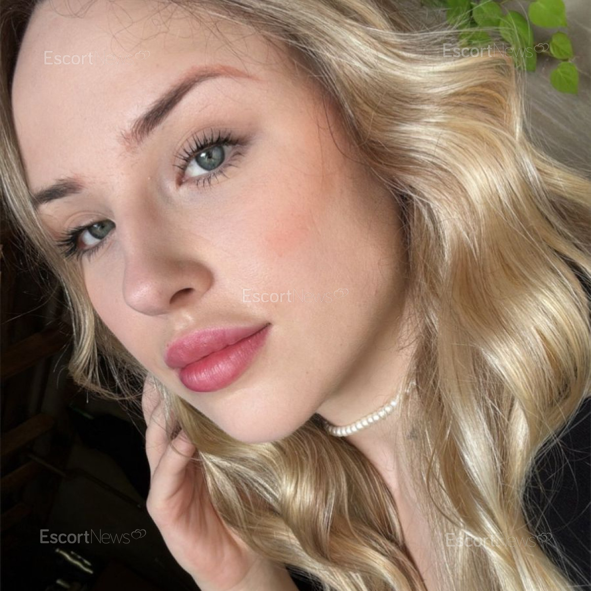 AGATHA VIP 