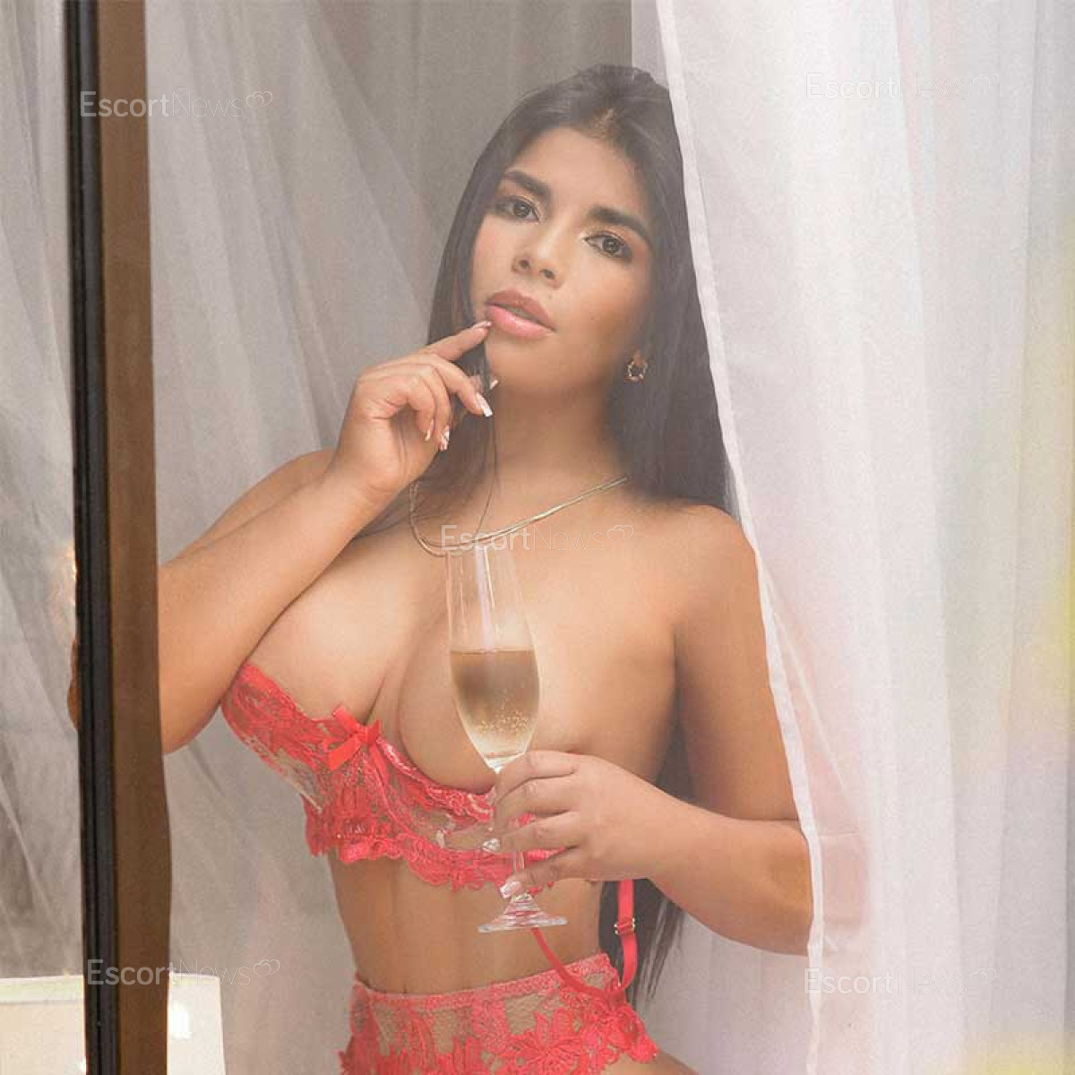 Paloma YA