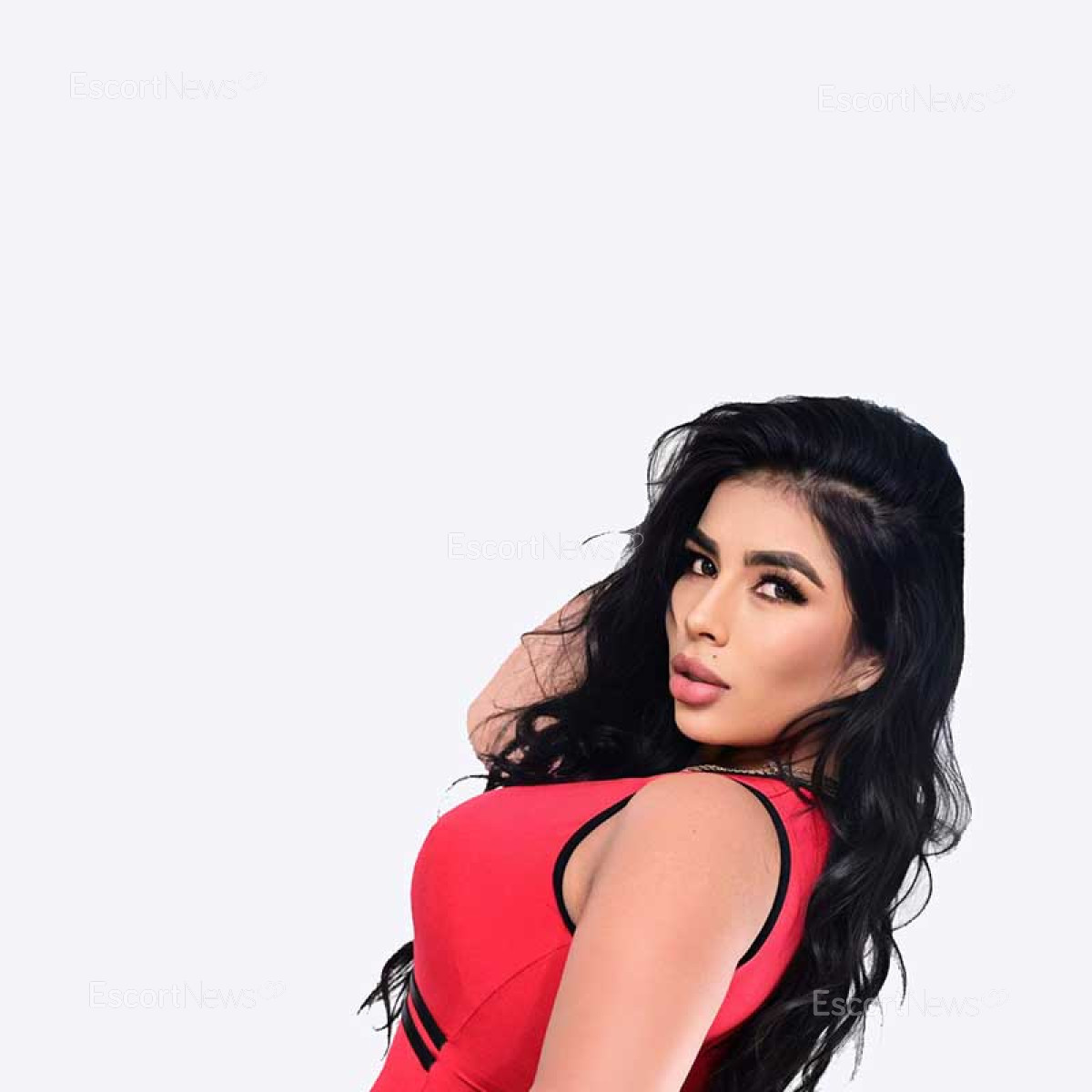 Paloma YA