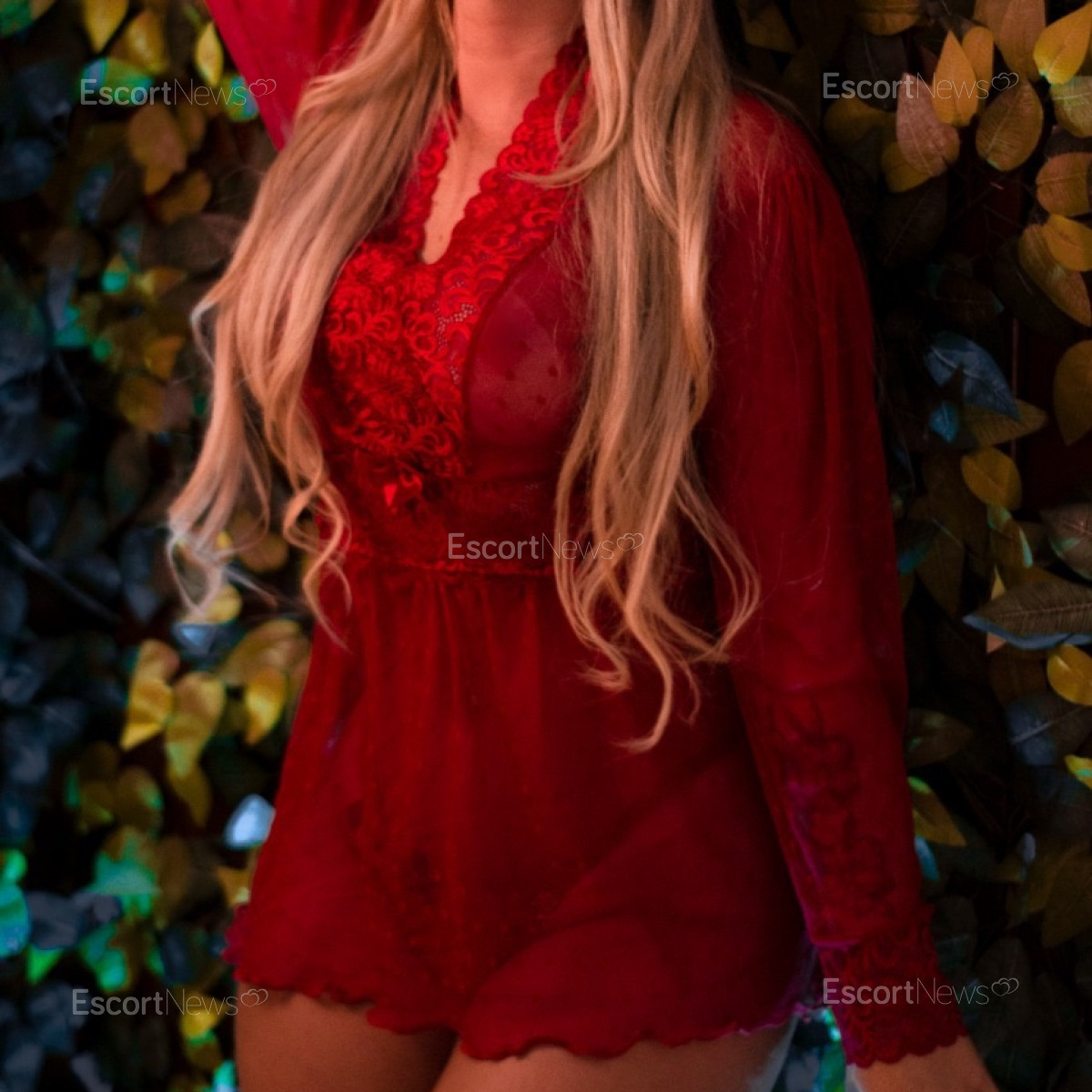 Fabi 