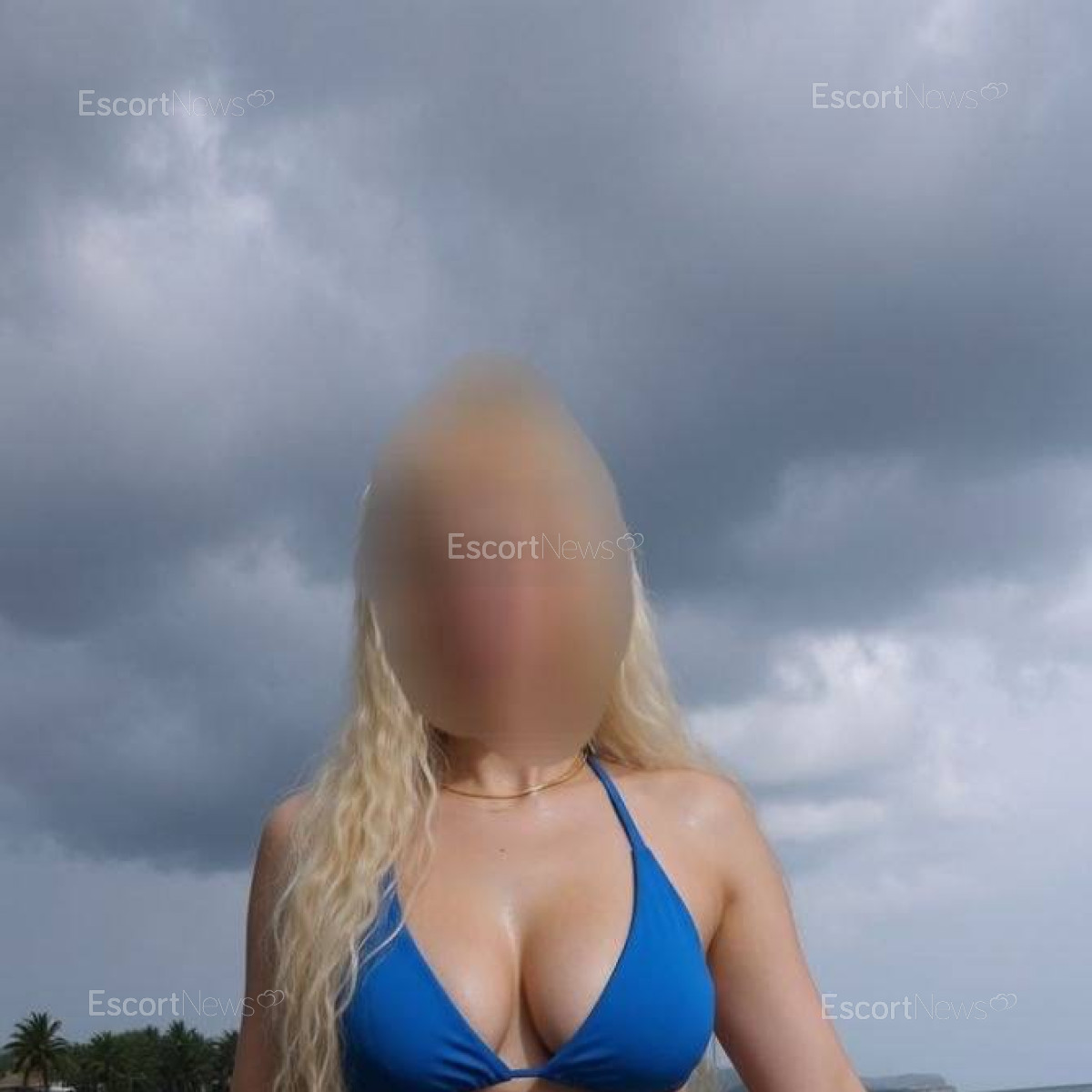 Violeta