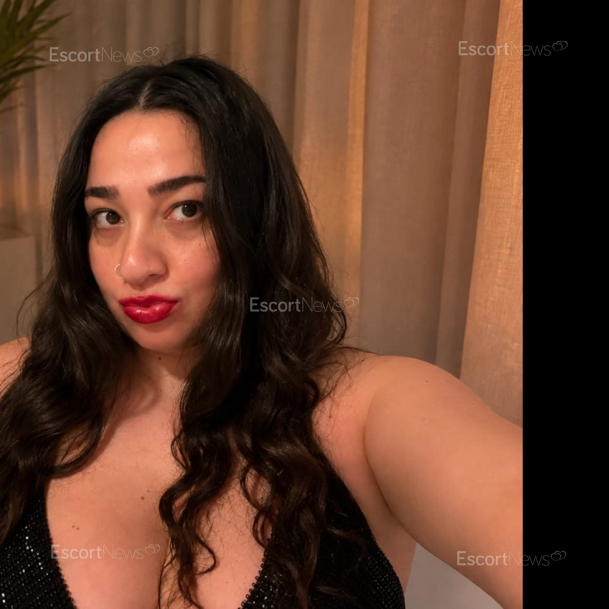 Anamaria Pro