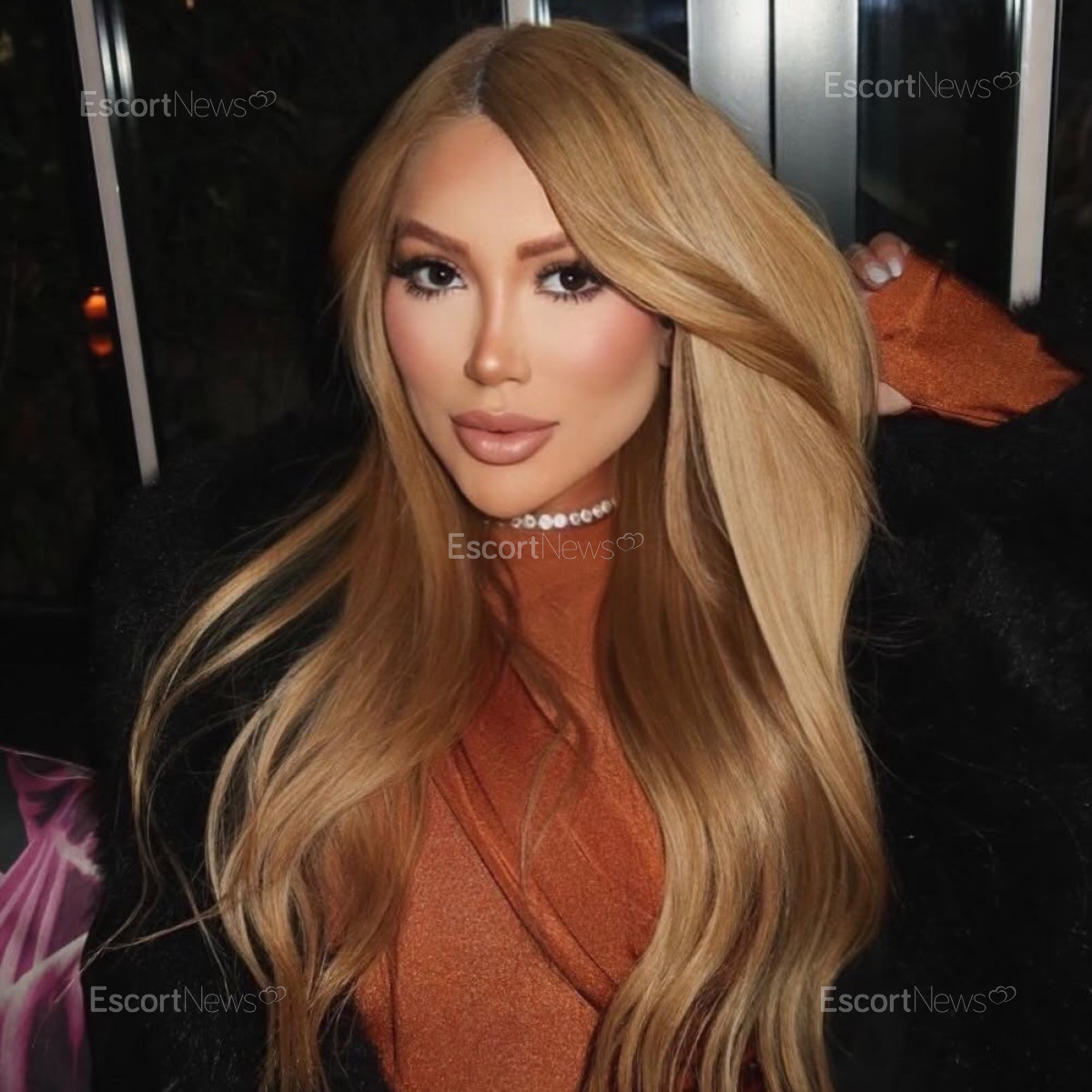 BELLA VIP