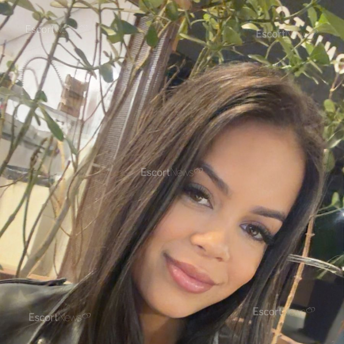 Maya 