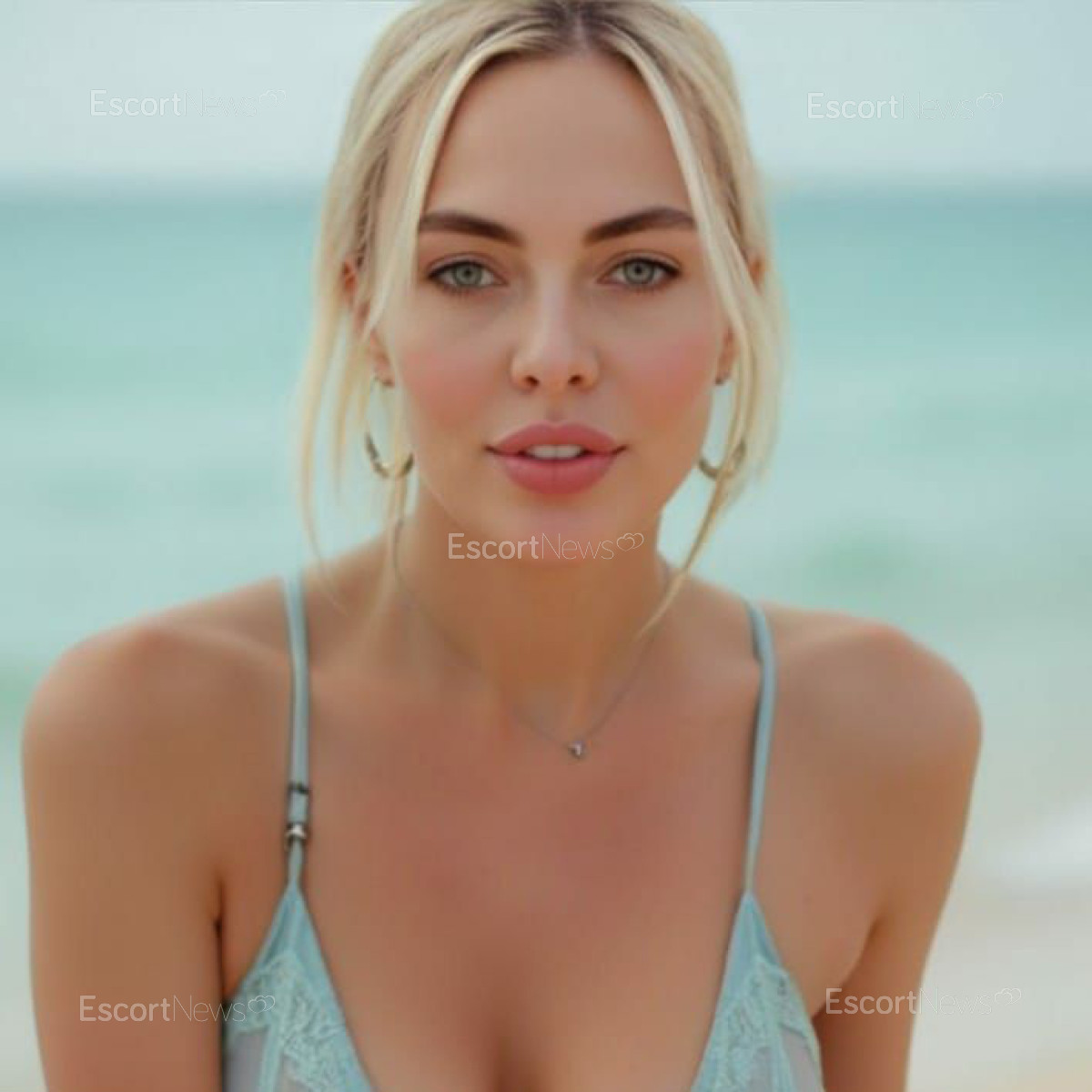 Alexa_VIP