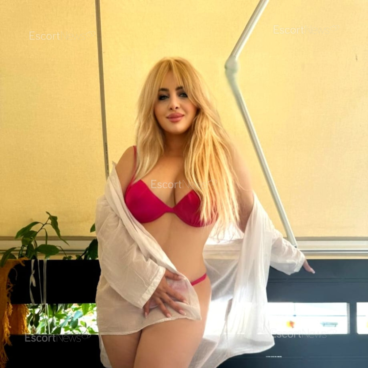 Sara