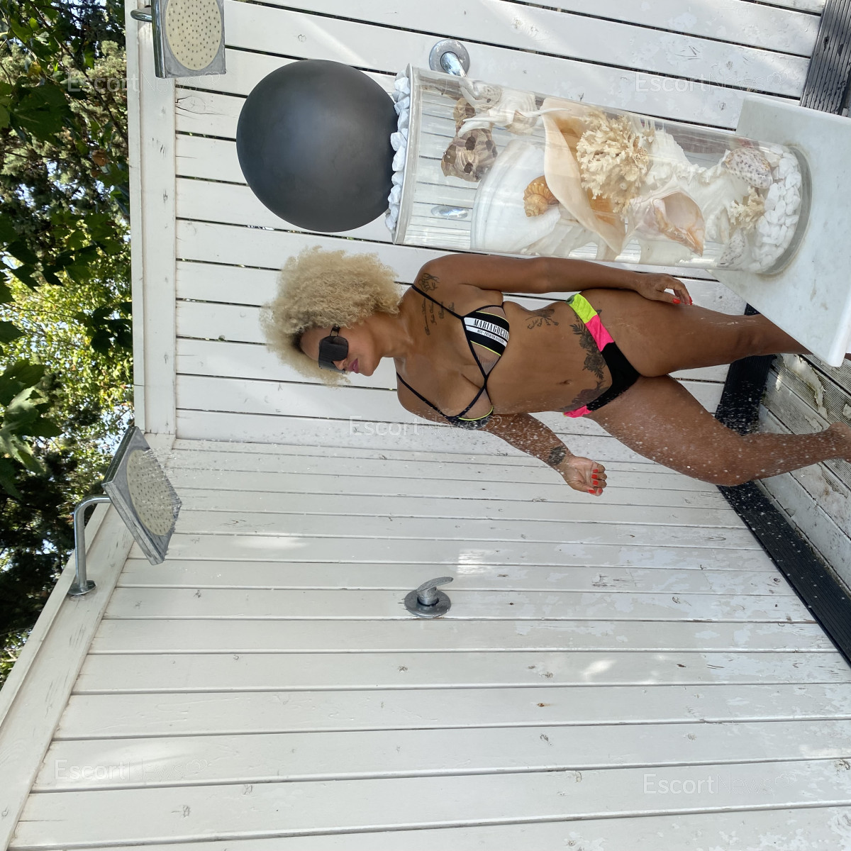 Sol