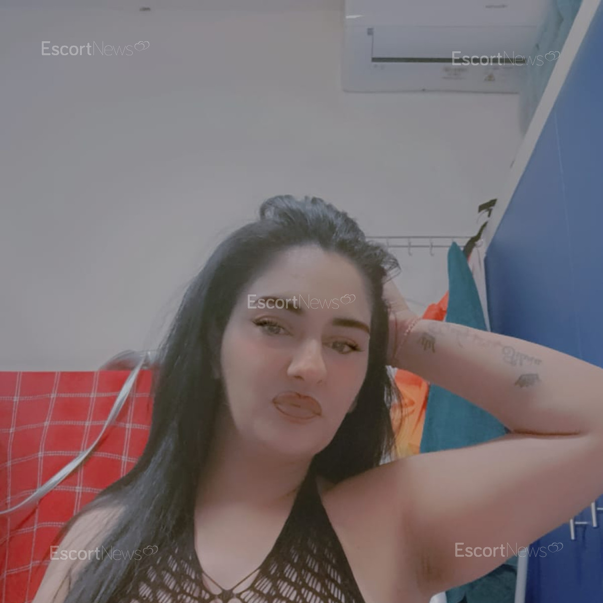 Carolina86