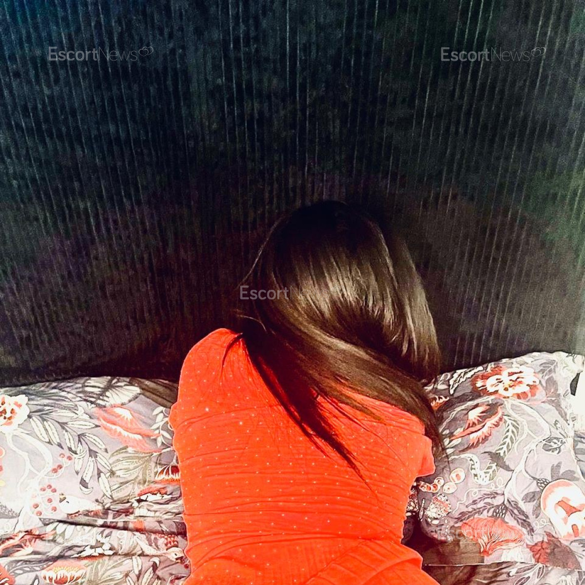 Carolina86