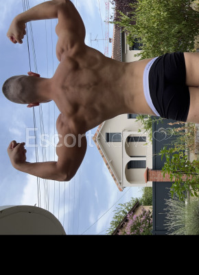 Muscular. Strong. Confident. 