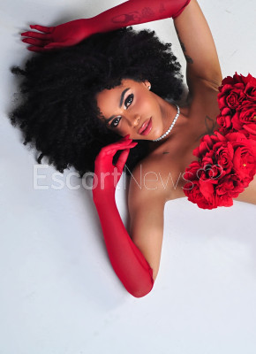 Doces ou Travessuras ?️?