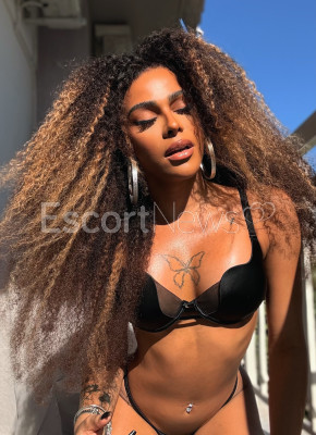 Doces ou Travessuras ?️?