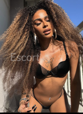 Doces ou Travessuras ?️?