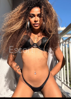 Doces ou Travessuras ?️?