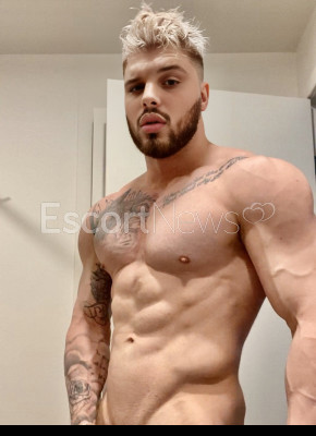 Mr.22cm