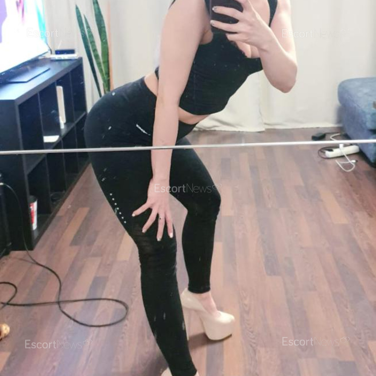 Stella