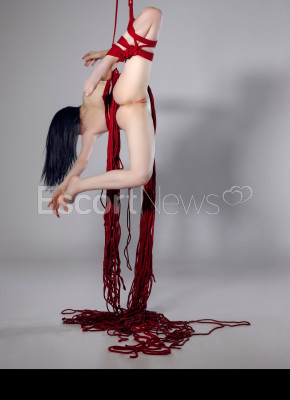 Gymnast -  Fit and Flex! 