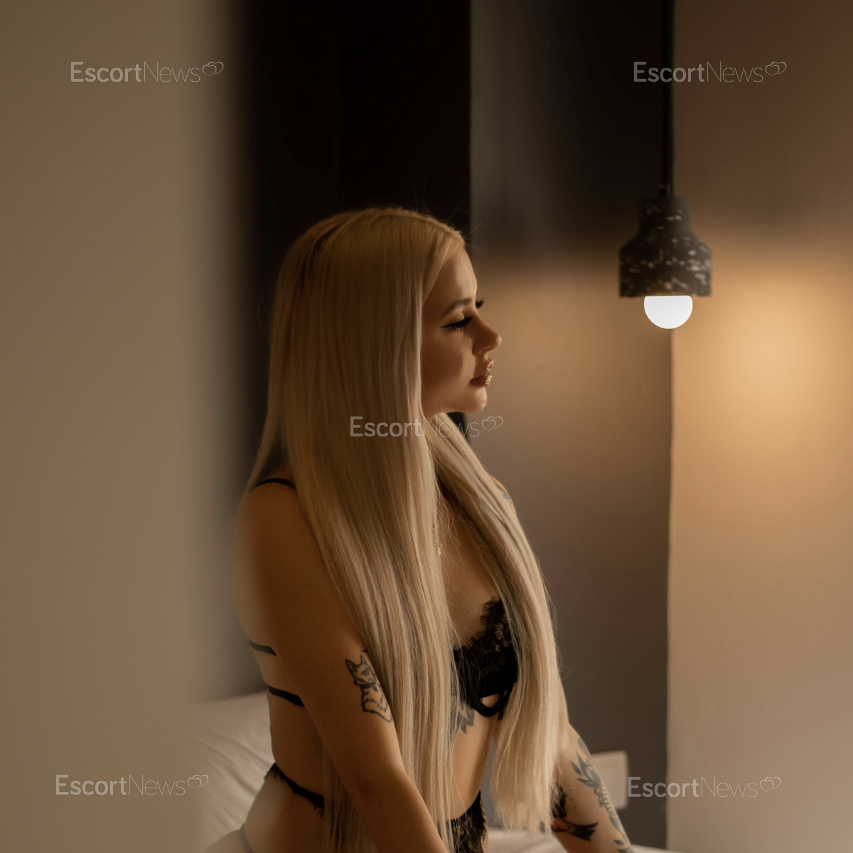 Veronica 